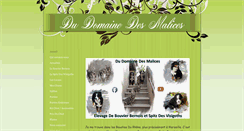 Desktop Screenshot of dudomainedesmalices.com